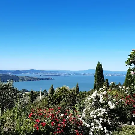 La Moraiola Passignano sul Trasimeno