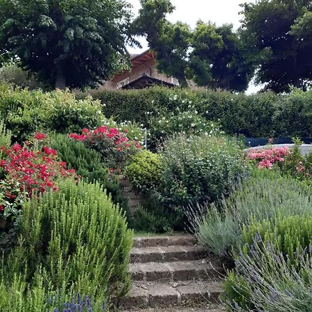 La Moraiola * Passignano sul Trasimeno