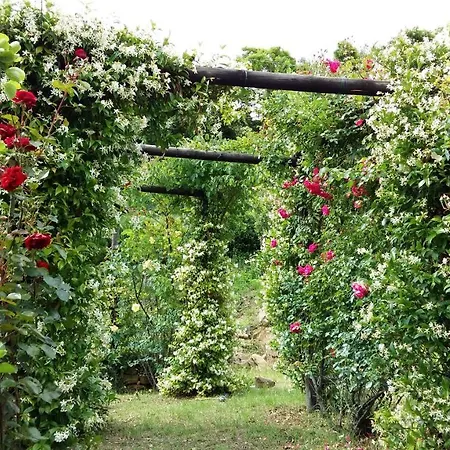 La Moraiola Lejlighed *