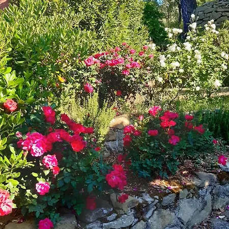 La Moraiola Lejlighed *