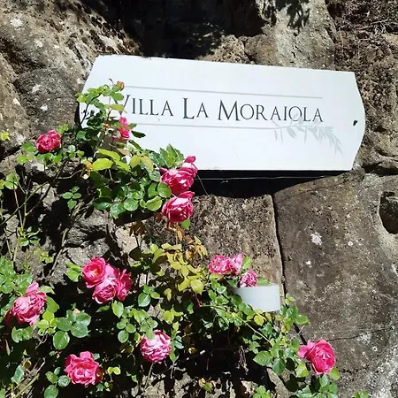 アパート La Moraiola