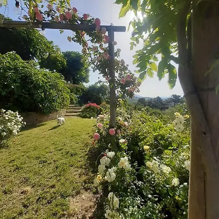 Lejlighed La Moraiola *