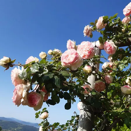 La Moraiola Lejlighed *