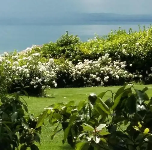 アパート La Moraiola パッシニャーノ・スル・トラジメーノ