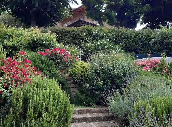 La Moraiola * パッシニャーノ・スル・トラジメーノ