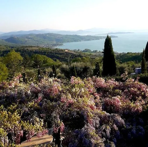 アパート La Moraiola *