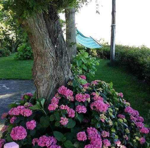 アパート La Moraiola