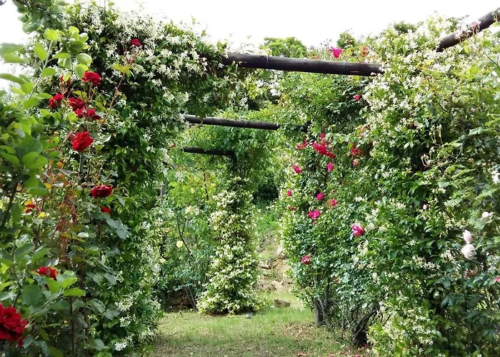 La Moraiola アパート *