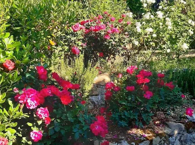 La Moraiola アパート *