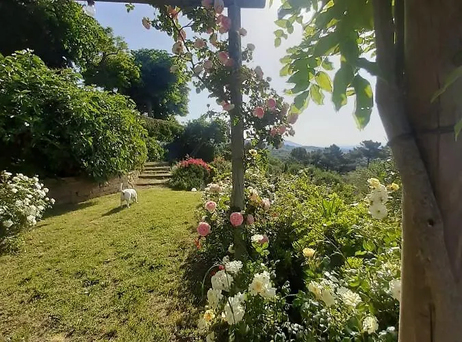 アパート La Moraiola *