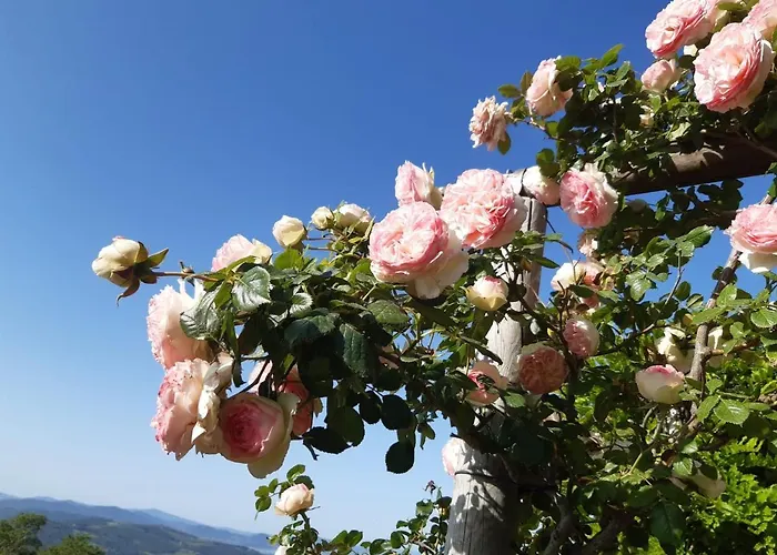 La Moraiola アパート *